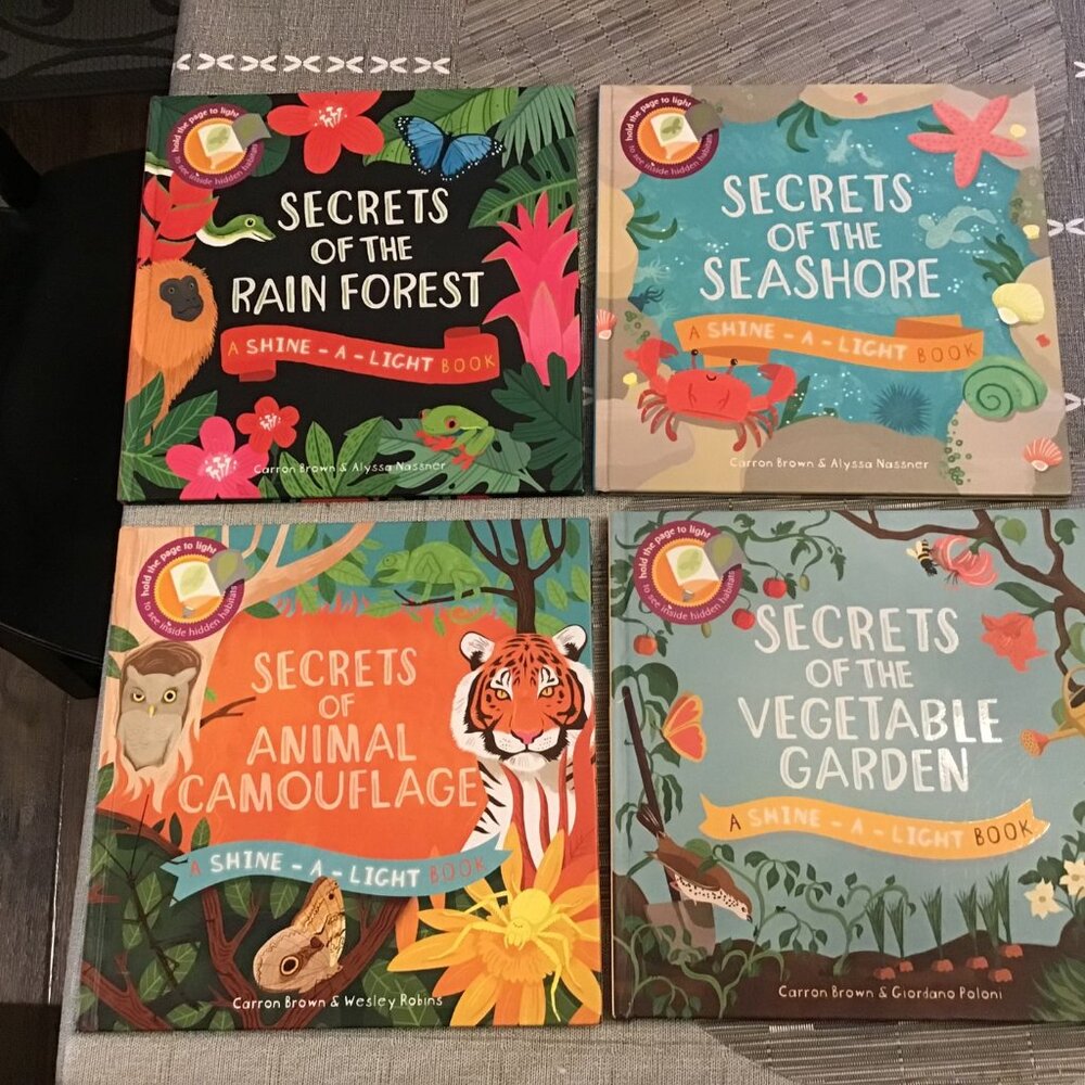 Four Shine-A-Light Educational Books--Excellent Shape--Homeschooling